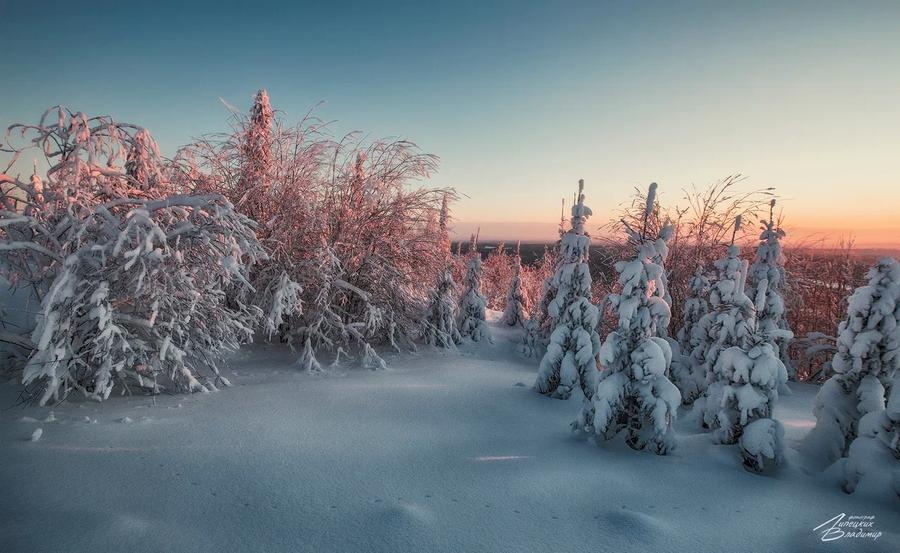 Автобус| Финно‑угорская зима: новогоднее приключение в Коми из Москвы