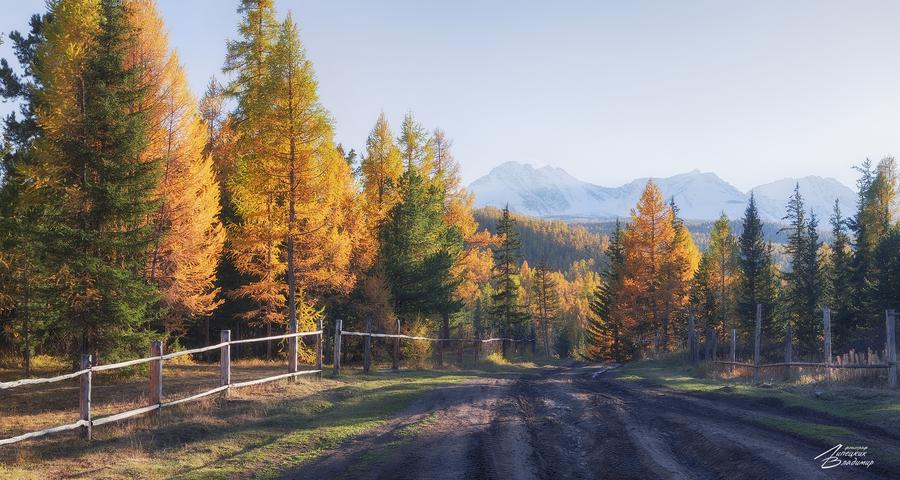 VIP Каникулы в Сибири (промо)