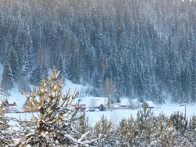 Автобус | Новогоднее путешествие по белорусским замкам и усадьбам из Твери