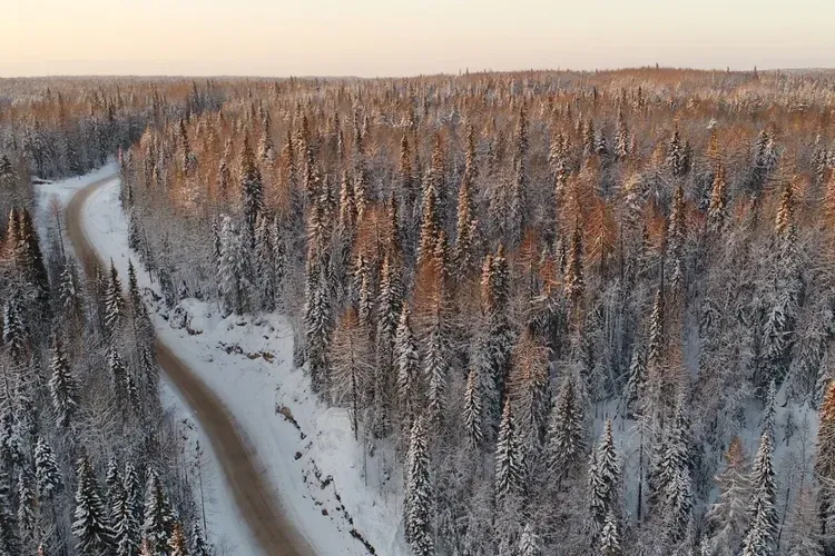 Соловки для туристов из Москвы 6 дней (промо)