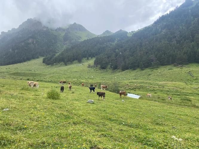 Автобус| По следам горных легенд