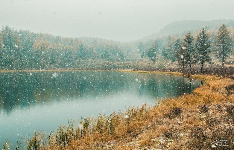 Автобус | Тур по Чуйскому тракту: глубокое погружение в Алтай