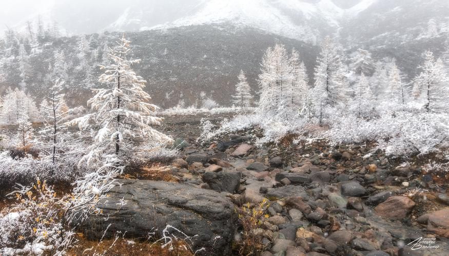 Алтай. Где каждая тропа — вопрос