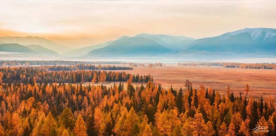 Белоснежные короны Алтая