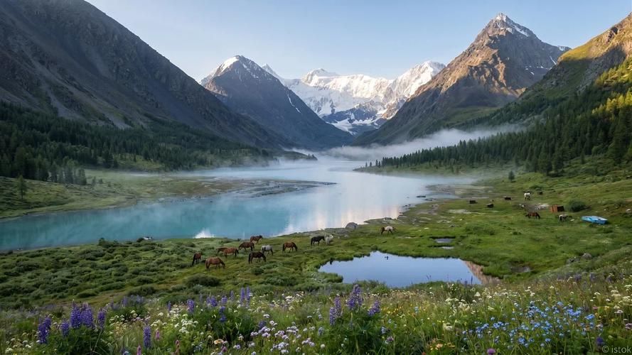В сердце Алтайских гор: от Ороктоя к Белухе