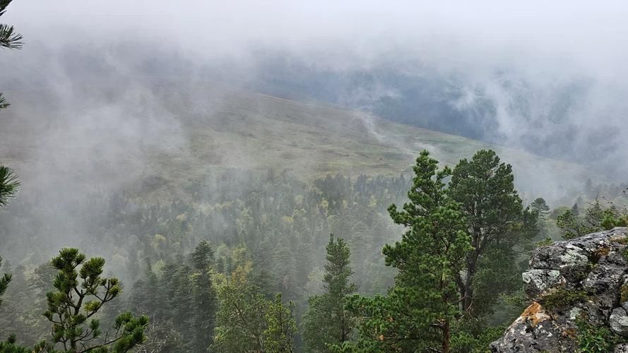 Автобус| Зюраткуль: высоты Урала и благородство маралов