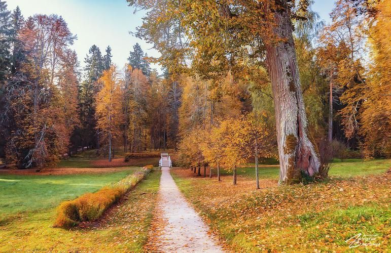 В гости к Каменным Людям Сундуруна (промо)