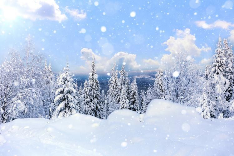 От камина Лермонтова — к огням Саранска