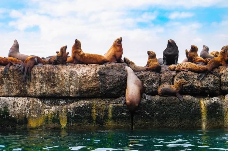Курильская гряда: где огонь встречает океан