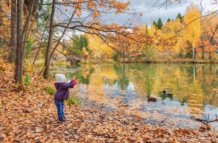 Русь мастеровая: путешествие в мир ремёсел