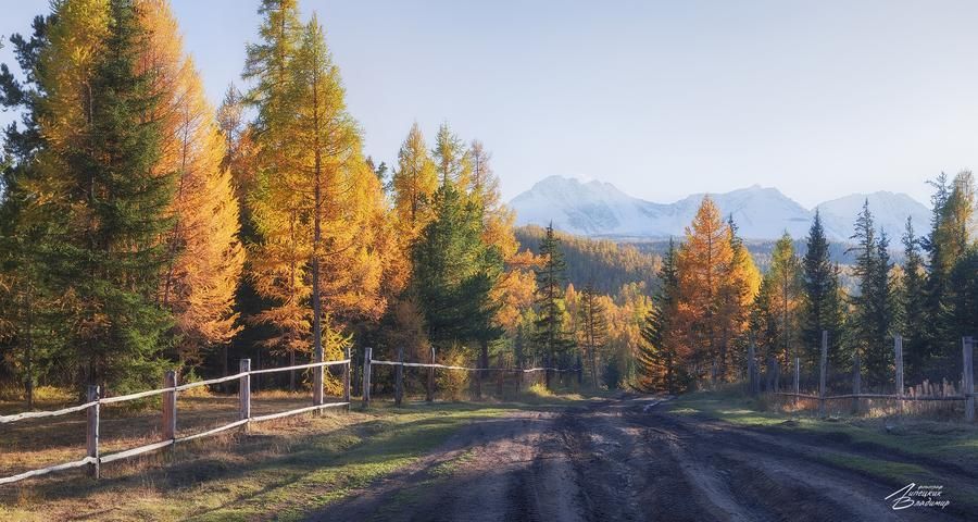 Автобус| Астрахань. Цветение лотоса. Экскурсионный автобусный тур с прогулкой в Дельту Волги и дегустацией Жигулевских напитков из Уфы (промо)