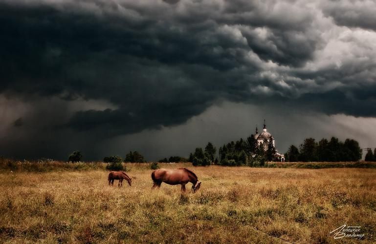 Знакомство с Грузией: улочки Тбилиси, храмы и волшебство Кавказа