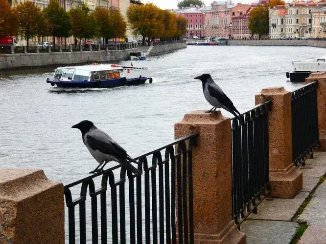 ВМФ. Санкт-Петербург